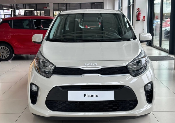 Kia Picanto cena 62400 przebieg: 5, rok produkcji 2024 z Gdynia małe 79